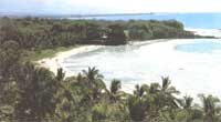 Geothermal Power vs. Rainforest Preservation in Hawaii